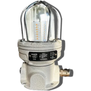 Explosion-Proof Globe Light